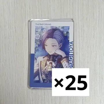 프로세카 아오야기 토야 에피카 5A 준 브라 25장