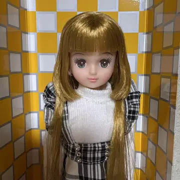 리카짱 친구 아키짱