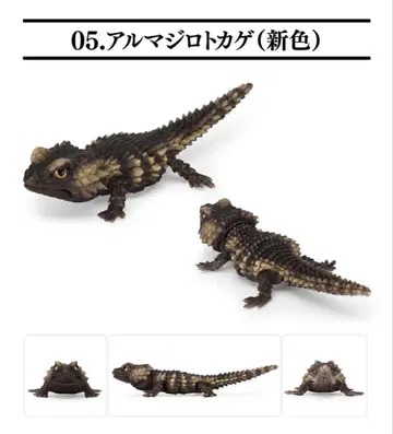 알마지로 도마뱀 (신색상) BANDAI SELECTED EDITION