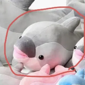 스마 씨 돌고래 복권 2등