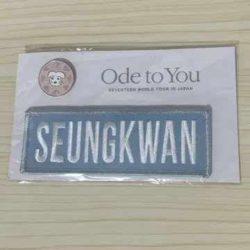 SEVENTEEN 승광 네임택 와펜 ode to you