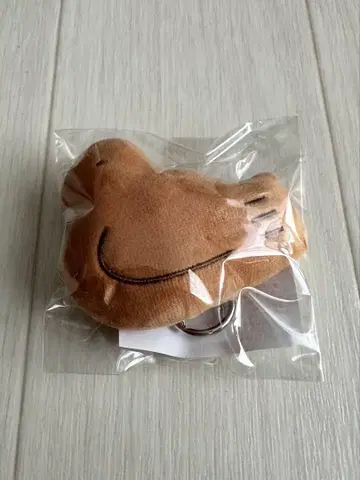 비둘기 사브레 비둘기 홀더