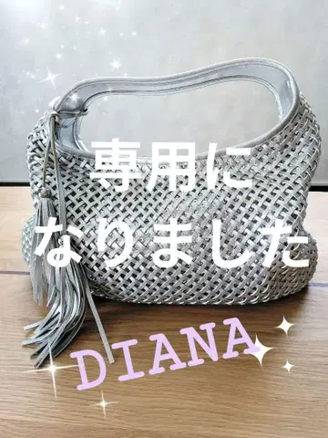 DIANA 실버 뜨개질 핸드백