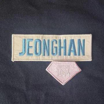 정한 와펜 배지 SEVENTEEN