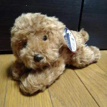 REAL DOG COLLECTION 리얼 도그 컬렉션 토이 푸들