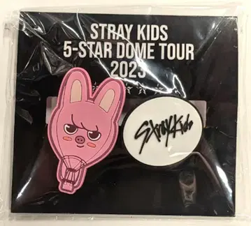StrayKids 2023 5-STAR Changbin 러버 클립 D상