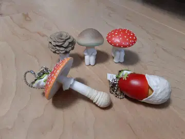 네이처 테크니컬러 버섯과 청개구리 기다림 버섯의 경우 총 5점