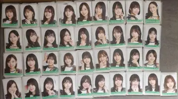 노기자카46 브로마이드 너에게 혼났어 노멀 풀 컴프