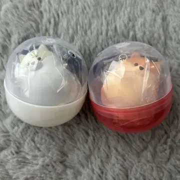 파리 포메 라이트 2개 세트