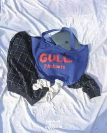 common gull products. 히키코모리 BAG 토트백 파랑