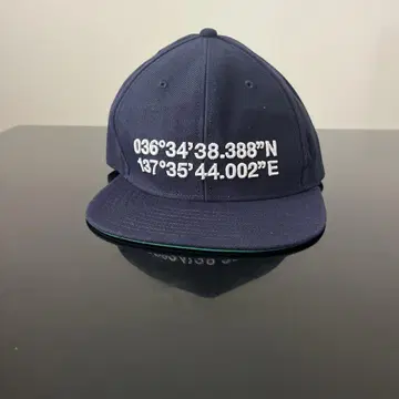 THE NORTH FACE TATEYAMA 캡 네이비
