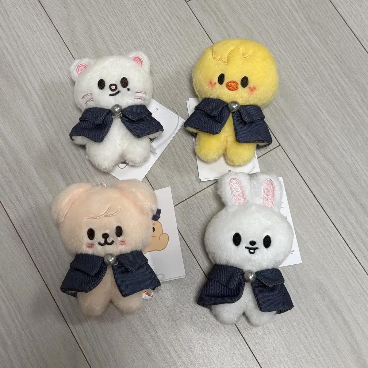 스키즈 스키주 10cm 콩키주 매직스쿨 지니렛 뽁아리 퍼핌 리빗