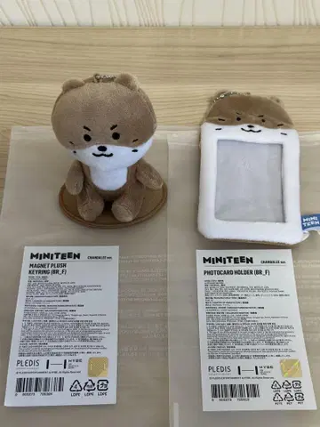 미니틴 찬다리
