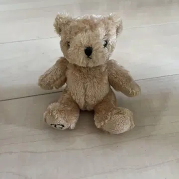 렉서스 베어