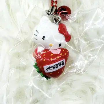 레어 미개봉 키티 아마오 딸기 후쿠오카 한정 네츠케 스트랩 지역 특산품