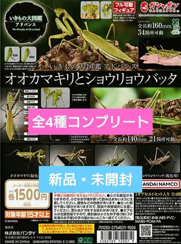 생물대도감 어드밴스 오오카마키리와 쇼료바타