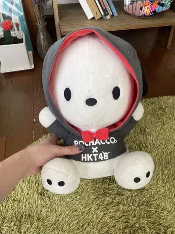 포차코 HKT48 콜라보 봉제 인형