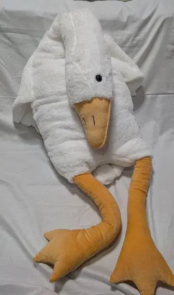 메가 BIG 쿠타리 오리 봉제 인형 택 포함 약 160cm 미사용 오리