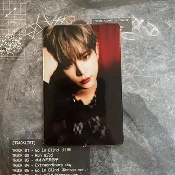 &TEAM 아시아 투어 자카르타 인도네시아 트레이딩 카드 하루아