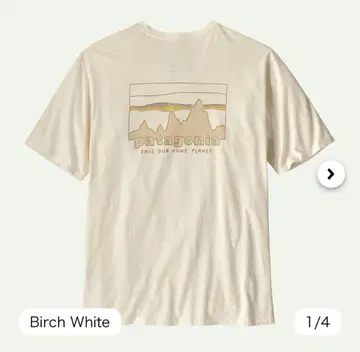 Patagonia Birch White 티셔츠