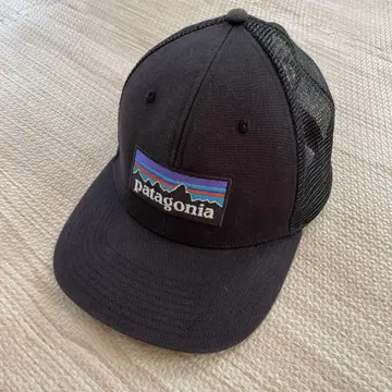 Patagonia 파타고니아 캡 메쉬 블랙 자수 로고