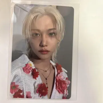 필릭스 트레이딩 카드