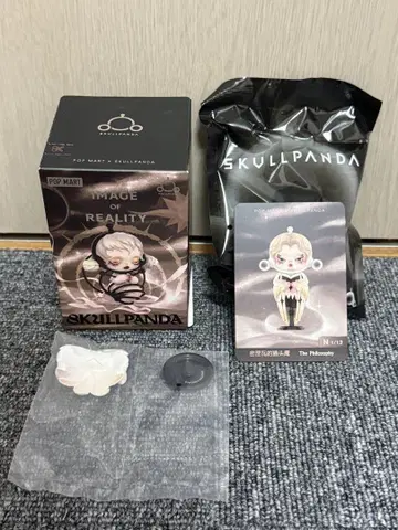 SKULLPANDA IMAGE OF REALITY 스컬 팬더