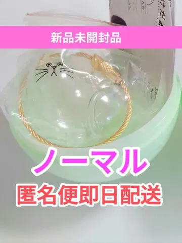 새상품 우리 아이의 캣토이 노멀 가챠 가챠가챠 키링 고양이