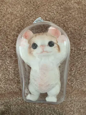 스퀴즈 fumi fumi 씨 구매 반자이 고양이