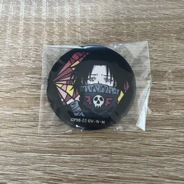 헌터헌터 페이탄 와시 캔뱃지