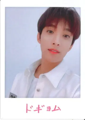 SEVENTEEN 2019 HARU DK 트레이딩 카드 0124