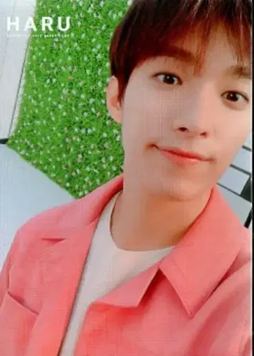 세븐틴 DK 2019 HARU 44