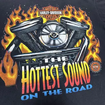 90s HARLEY DAVIDSON HOTTEST SOUND 프레임
