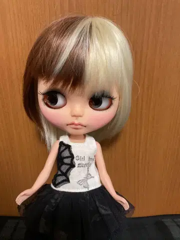 브라이스 커스텀