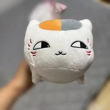 고양이 봉제 인형 부드러운 소재