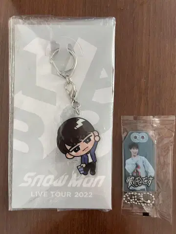 SnowMan 와타나베 쇼타 스노 치루 쇼피 아크릴 키링 스노 라보