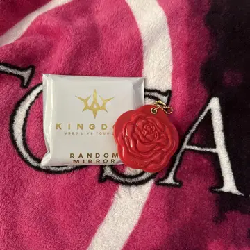 3대째 JSB 이마이치 류지 로즈 슬라이드 거울 kingdom