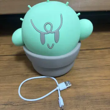 구치쓰보 룸 라이트