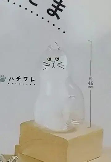 우리 아이의 털뭉치