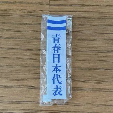 M 사이즈 [새 상품] 새로운 학교 리더 양말 삭스 청춘 일본 대표