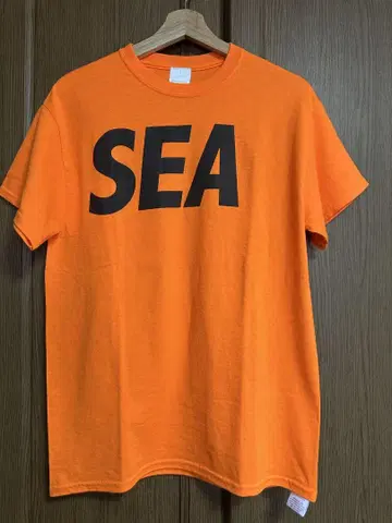 WIND AND SEA 로고 티셔츠 초기 모델