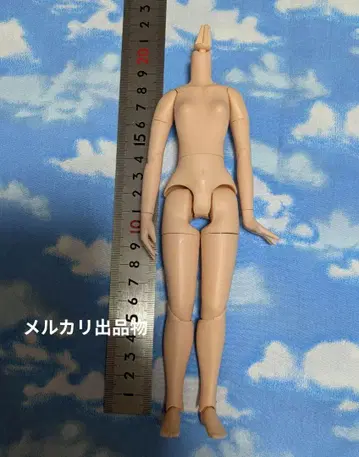 퓨어니모 바디
