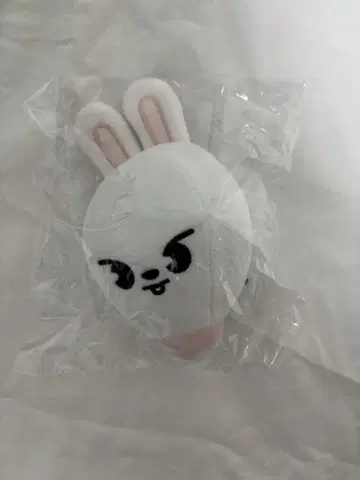 백 참 Leebit