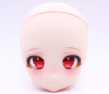 DDH-27 커스텀 헤드 SW 피부 + 딜러 제작 아이