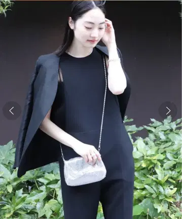 플라주 살로페트