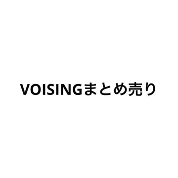 이레이스 스타포라 크로노바 VOISING 묶음 판매 캔뱃지 폴라로이드