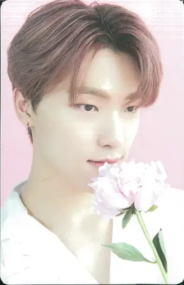 세븐틴 DINO CAFE in SEOUL 62