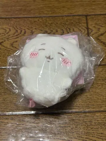 치이카와 (먼작귀) 치이카와