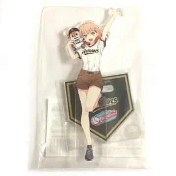 렌노소라 아크릴 아크릴 히노 카호