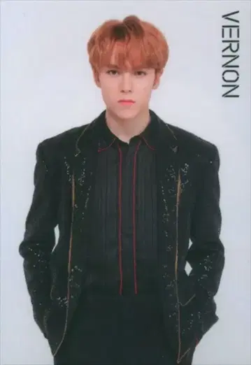 세븐틴 버논 2018 IDEAL CUT IN JAPAN 16